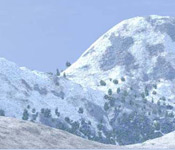 paysage du site en Flash